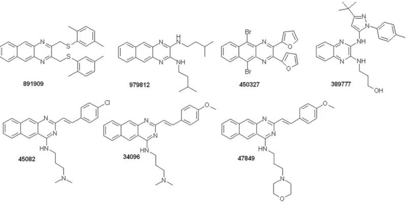 Fig 1. Chemical structures of the Vichem’s MtTopo-I inhibitors.