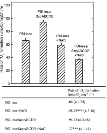 Fig. 4    Measurement of  1 O 2  production expressed as the inverse  rate of His-mediated oxygen uptake in the less and the  PSI-less/ScpABCDE −  strains grown in the presence or absence of  NaCl