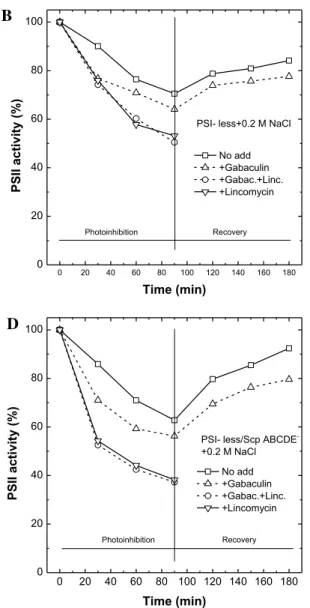 Fig. 5    Measurements of photodamage and PSII repair of the PSI- PSI-less (upper panels) and PSI-PSI-less/ScpABCDE −  (lower panels) mutants  grown in the presence (right, open symbols) or absence (left, closed  symbols) of 0.2  M NaCl