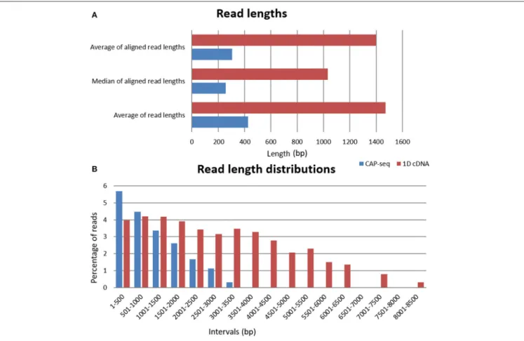 FIGURE 1 | Read length and read length distributions. (A) The horizontal bar charts show the average read lengths of the two different libraries, as well as the median and the average read lengths mapped to the viral genome