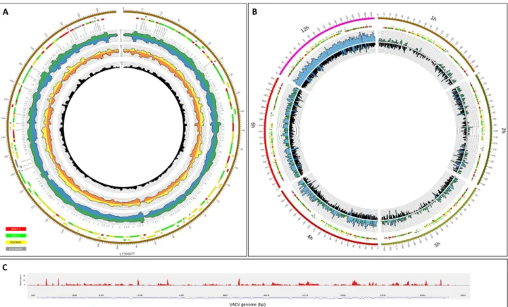 Figure 3: Representation of the depth of viral read coverages generated from different long-read sequencing techniques