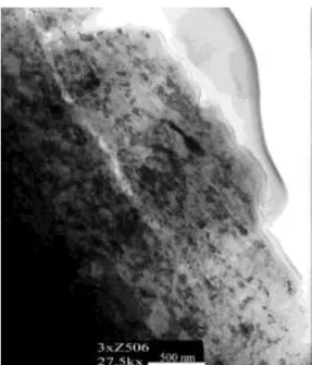 Figure 5. TEM picture of the welding scale covered thin foil  3.2.  Records of visual inspections of the pipeline’s inner surface 