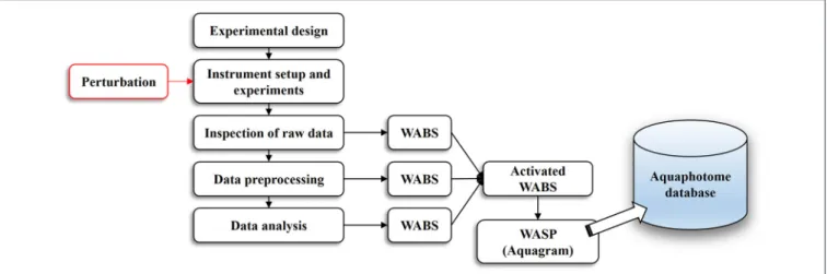 FIGURE 1 | An overview of the aquaphotomics basic methodology for design, performance and analysis of experimental data with the aim of extracting water spectral pattern for the defined perturbation.
