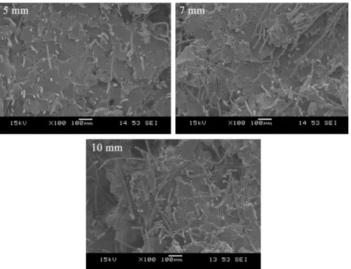 Figure 10. The fracture surfaces of injection moulded composites moulded from  granules of different lengths (5 7, 10 mm) 