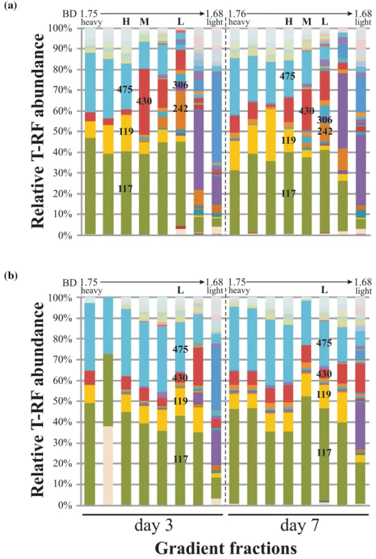 Figure 1. Abundance of bacterial 16S rRNA gene T-RFs across density-resolved gradient fractions of DNA from enrichments amended with (A) 13 C or (B) 12 C-toluene.