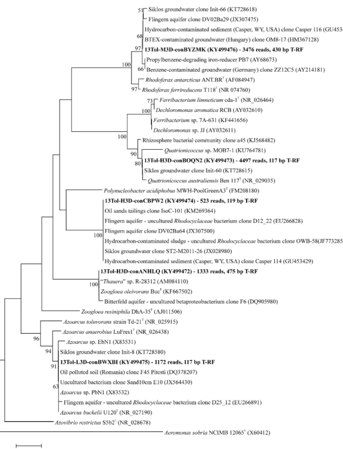 Figure 3. Phylogenetic placement of selected assembled OTU-level sequencing contigs (given in bold) of bacterial 16S rRNA gene amplicons from the SIP microcosms after 3 d