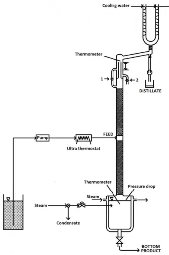 Figure 6 Pilot column with direct steam injection [17] 