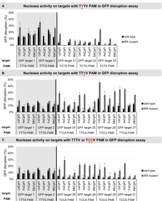 Figure 12. GFP disruption mediated by WT and RR Cpf1 variants in HEK-293.GFP cells. GFP disruption mediated by WT (black) and RR (striped) Cpf1 variants on targets with (A) TYTV, (B) TTYV or (C) TTTV / TCCV PAM sequences (TTTV PAM: GFP target 1–2, gray bac