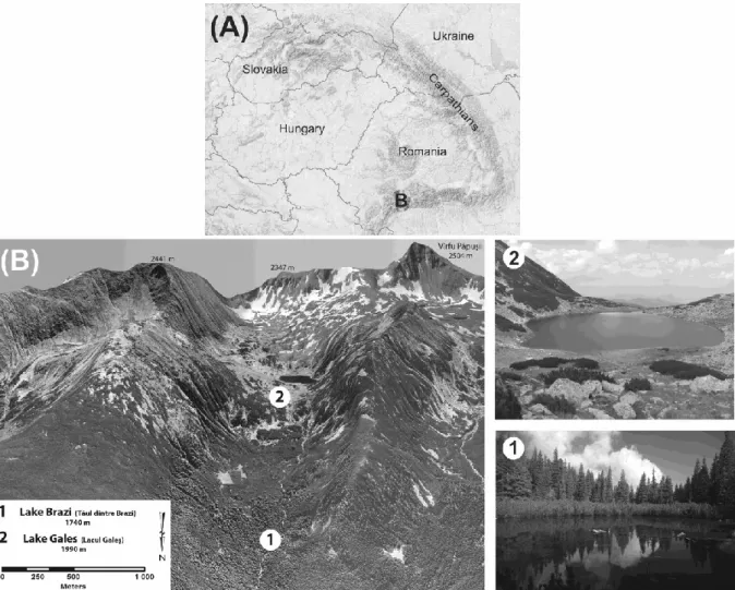 Fig. 1. The location of the Retezat Mountains (B) in the Southern Carpathians (A) and  location and view of (1) Lake Brazi (1710 m a.s.l.) and (2) Lake Gales (1990 m a.s.l.) on the  northern slope of the Retezat Mountains (B)