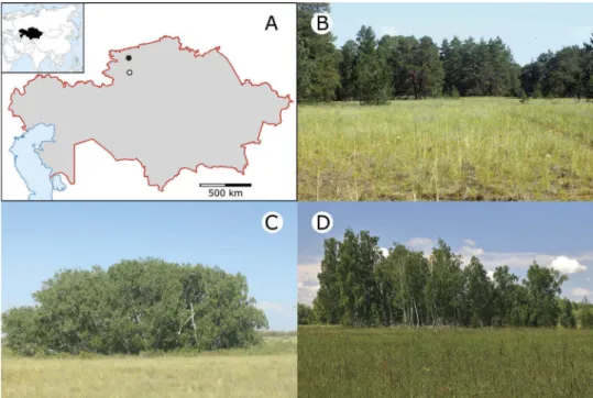 Figure 1. Location of the sandy (open circle) and loamy ( ﬁ lled circle) forest-steppe sites studied in northern Kazakhstan (A)