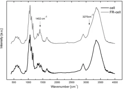 Fig. 1. FTIR spectra of untreated and FR-treated cellulose fibres 