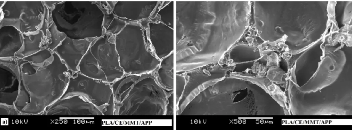 Fig. 5. SEM micrographs of the PLA/CE/MMT/IFR foam (×250, ×500) 