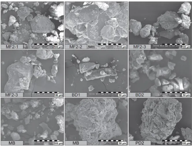 Figure 8. Scanning electron micrographs of paleosol samples. 
