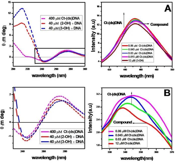 Figure  3.  Circular  dichroism  spectra  of  Ct-(ds)  DNA  in  the  absence and presence of flavonoids