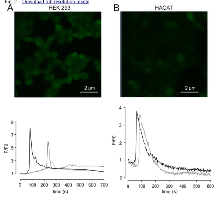 Fig. 2    Download full resolution image