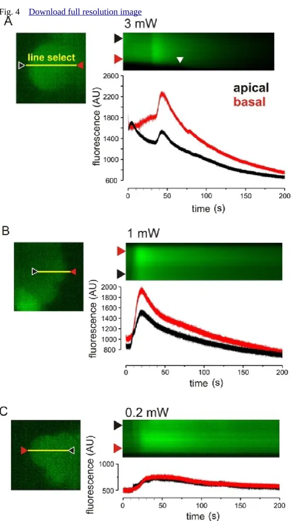 Fig. 4    Download full resolution image