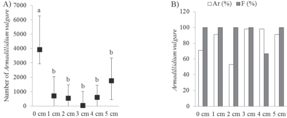 Figure 8.  Abundance (N) and relative abundance and frequency (B) of A. vulgare in highway verges relative to leaf-litter depth in the verges  that were examined (average ± S.E.)