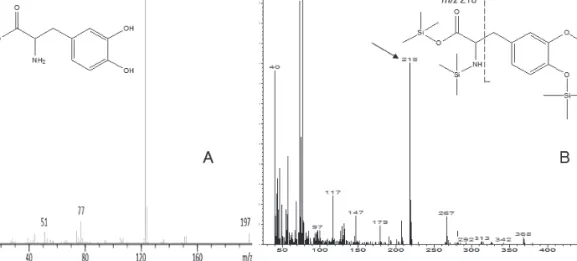 6. ábra. L-DOPA szililezés előtt (A) és után (B). Az ábra B részén látható származék jól megfigyelhető GC-MS  ionfragmentje a nyíllal jelölt m/z 218