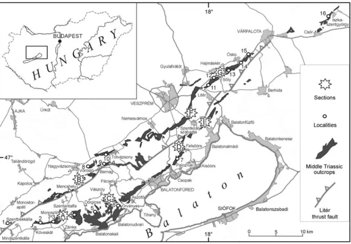 Figure 1. Situation map showing the most important measured and bed-by-bed collected sections and other localities of the Balaton Highland and the Eastern Bakony Mountains yielding Upper Anisian ammonoids (compiled from V ÖRÖS et al