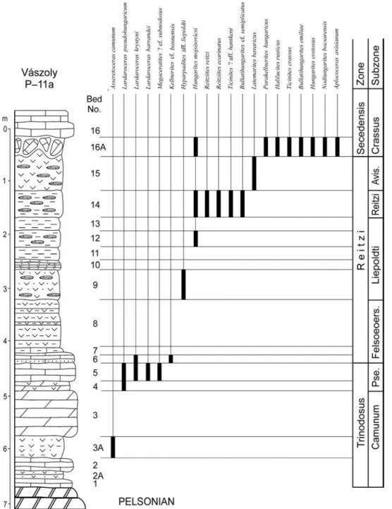 Figure 8. The stratigraphic column of the Vászoly P–11a section with the ranges of the stratigraphically significant ammonoid taxa and the zonal/subzonal subdivision (modified from V ÖRÖS &amp; P ÁLFY 1989) Legend as in Figure 2