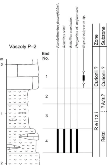 Figure 9. The stratigraphic column of the Vászoly P–2 section with the ranges of the stratigraphically significant ammonoid taxa and the zonal/subzonal subdivision (modified from V ÖRÖS 1998) Legend as in Figure 2