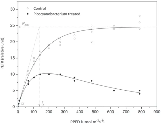 Fig. 4. Rapid light response curves and cardinal parameters for PS II electron transport in Scenedesmus  quadricauda