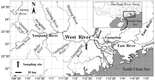 Figure 4. Self Organizing Map (SOM) clusters of phytoplankton in the Pearl River based on similarities in the  combination  of  the  functional  group  composition  sensu  Reynolds  (Reynolds  et  al