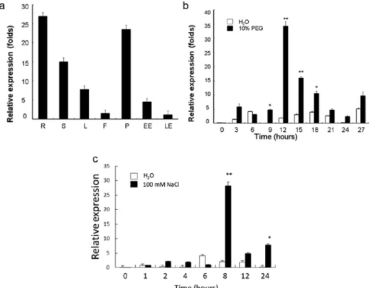 Fig. 2. Expression patterns of GmLEA2-1 in various tissues and under different dehydration conditions
