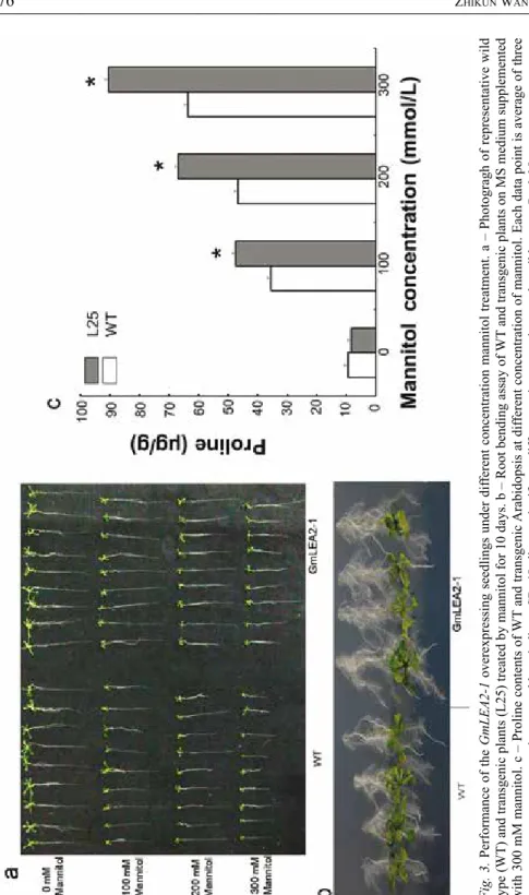 Fig. 3. Performance of the GmLEA2-1 overexpressing seedlings under different concentration mannitol treatment