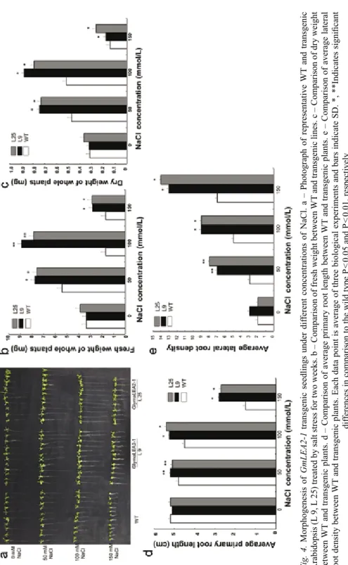 Fig. 4. Morphogenesis of GmLEA2-1 transgenic seedlings under different concentrations of NaCl