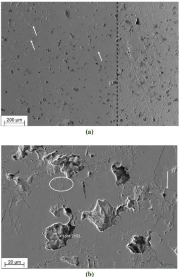 Figure 10 (a) SEM image of the cast iron cylinder liner surface with a dashed line dividing the wear track (left) and the unworn surface (right) (white arrows indicate shallow pits) and (b) detail of some  orange-peel-like roughening (encircled region), pi