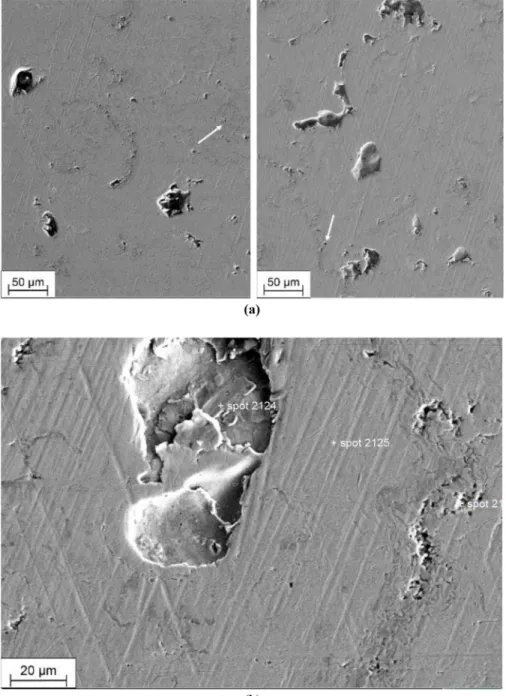 Figure 11 (a) SEM image of the wear track (left) and an unworn surface region (right) of the PTWA-coated cylinder liner surface (the white arrows indicate pre-existing pores in both areas) and (b) detail of the tribosurface showing a pre-existing pit and s