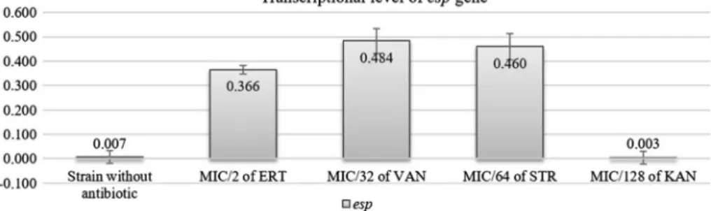 Figure 4. esp gene expression rate after antibiotic exposure in E. faecium 95