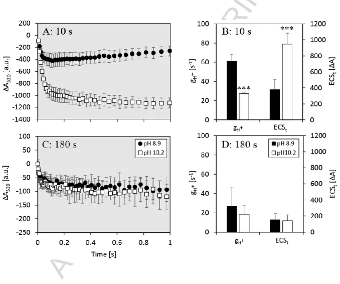 Figure 6. Electrochromic shift (ECS) recorded at 520 nm as an estimate of proton movement  across the thylakoid membrane  during  initial  photosynthesis  (after 10 s  of illumination) and  steady-state photosynthesis (after 180 s of illumination) in carbo