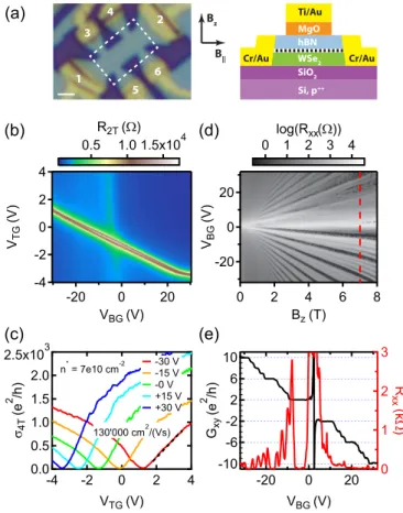 FIG. 1. Device layout and basic characterization of WSe 2 /graphene/h-BN vdW heterostructures