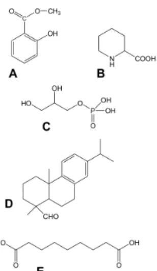 Figure 2. Chemical structures of signal compounds participating in SAR induction. (A) Phenolic compound, methyl-salicylate; (B) Non-protein amino acid, pipecolic acid; (C) Glycerol-3-phosphate;