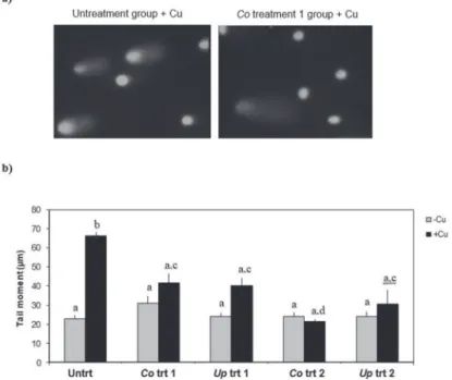 Fig. 4. a) A representative micrographs of Comet analysis, and b) effect of copper and extracts on the  mean tail moments (TM) obtained by alkaline Comet assay of the root nuclei