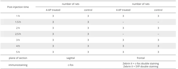Table I. The plane of section, immunostaining method, and number of animals in each experimental group.