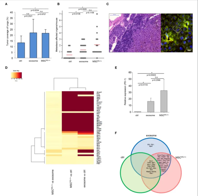 FIGURE 4 | Melanoma exosomes promote tumor progression and metastasis formation in vivo