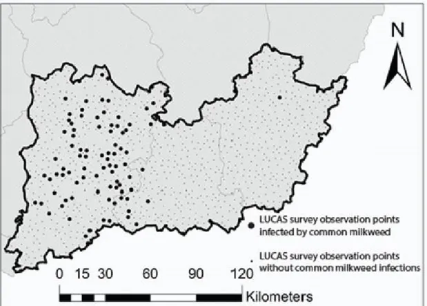 Figure 3. The spatial distribution of common milkweed infection in the study area, based on the  visual analyses of the LUCAS field survey photos
