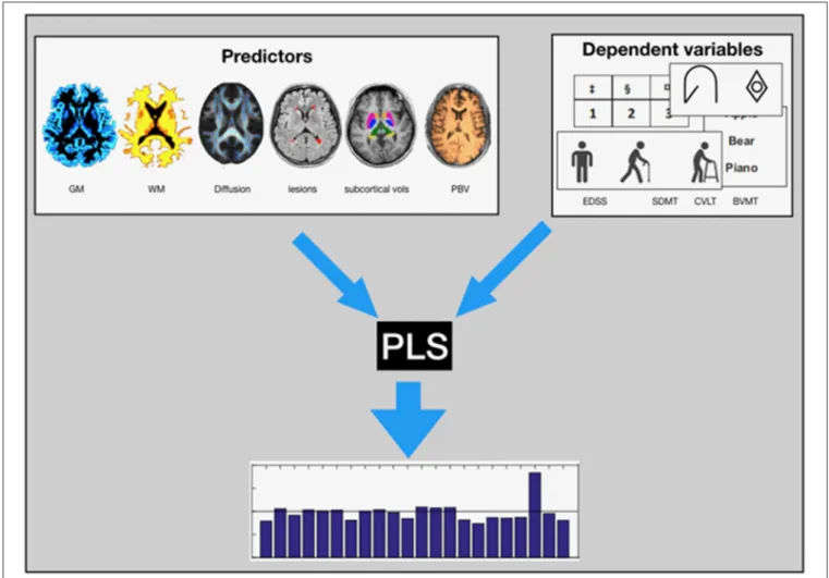 FIGURE 1 | Graphical Presesntation: We used PLS regression analysis to estimate the contributions of the various MRI parameters (GM, WM, the diffusion parameters of the lesions and the normal appearing white matter, the Lesion Load, volume of the subcortic