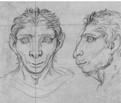 4. kép Charles Le Brun: Deux têtes d’homme  en relation avec l’âne (’Szamárra emlékeztet¾ 