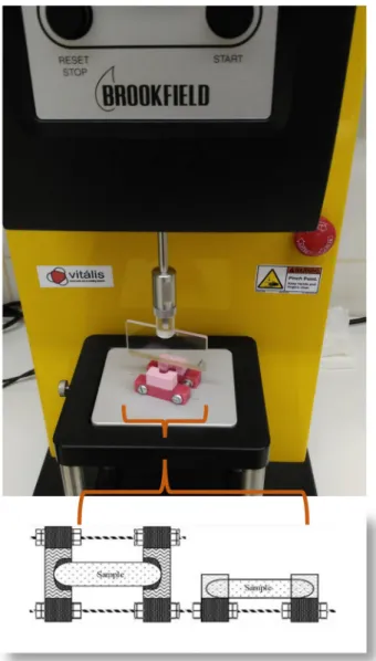 Fig. 1. Brook ﬁ eld texture analyser with the adjustable ﬁ xture, set up for three-point bending tests
