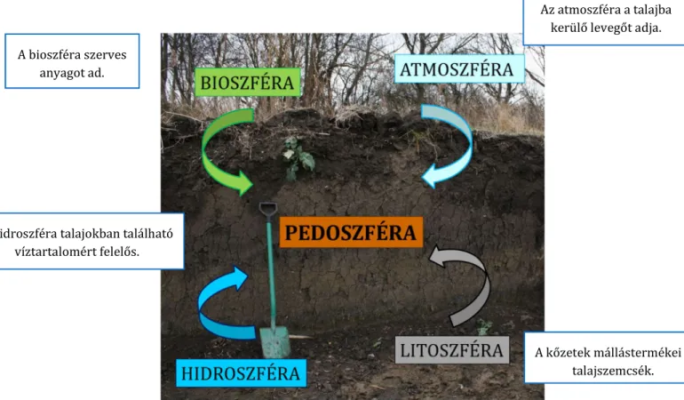 1. ábra. A talaj a lito-, a hidro-, a bio- és az atmoszféra  kölcsönhatásának eredménye