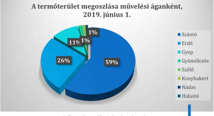 3. ábra: A fontosabb növények vetésterülete  Forrás: KÖZPONTI STATISZTIKAI HIVATAL, 2019 