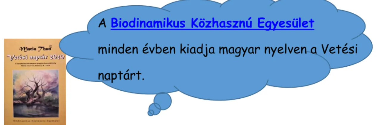 5. kép. A trigonok ábrázolása. 