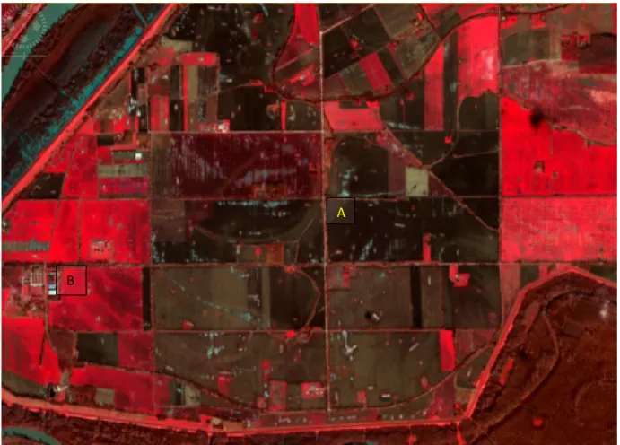 10. ábra Eltérő színmélységű területek Sentinel 2 műholdfelvétel 843 (NIR,R,G) RGB hamis  színes kompozíción