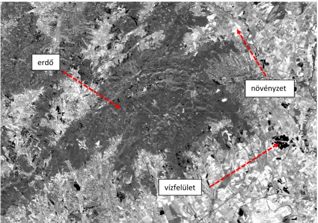 8. ábra A Bükk-hegység közepes-infravörös sávban 2019.09.22 (Sentinel 2 B11 sáv). Világos  színűek növényzet mg-i területen, sötét szürke erdők, fekete színűek vízfelületek   A multispektrális szenzorok sávjaiból alkotott képeket színes kompozíciónak nevez