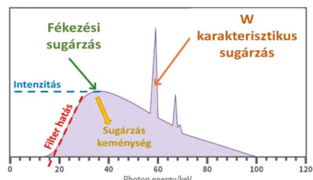 1. ábra A röntgensugárzás spektruma W anód esetében: a fékezési sugárzás folytonos  spektruma (zöld), a karakterisztikus sugárzás vonalas spektruma (barna)