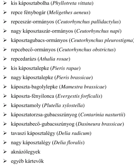 1. ábra: A repceszár-ormányos (Ceutorhynchus pallidactylus) 